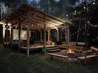 Звездный лес - 1