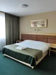 Горизонт - 100