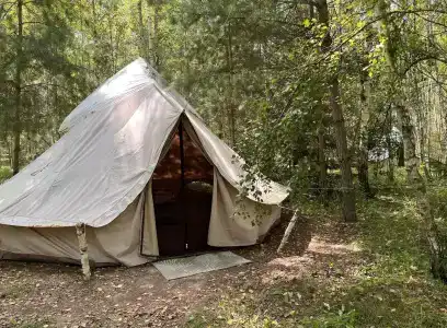 Звездный лес - 135