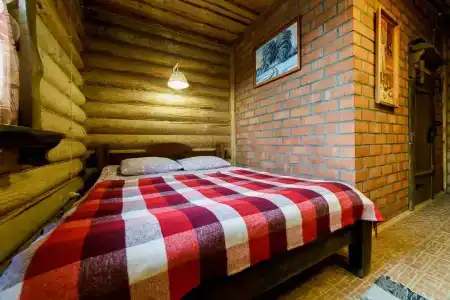 Медведь - 113