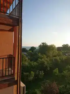 Альха - 34