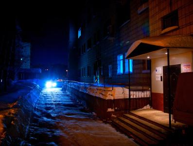 Серый Лис - 3