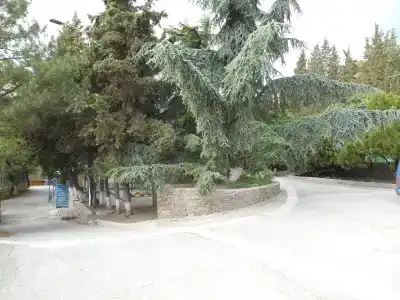 Крым - 1