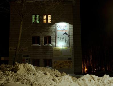 Серый Лис - 0