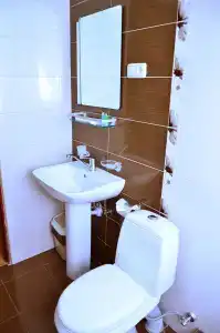 Ani Central Inn - 52