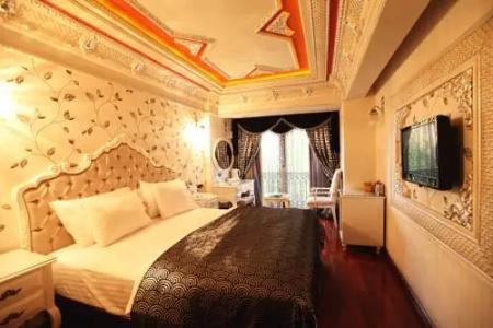Deluxe Golden Horn Sultanahmet - 21