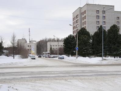 Серый Лис - 4