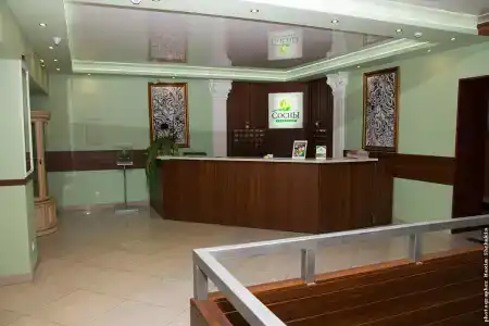 Сосны - 3