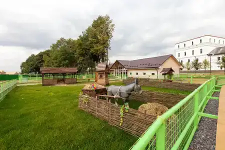 Русь - 5