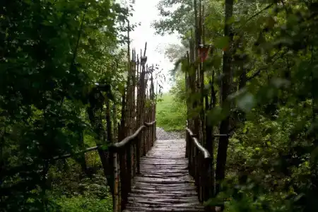 Клевер - 17