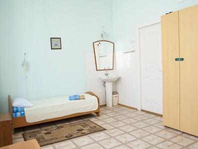 Серый Лис - 13