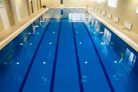 Сосны - 5