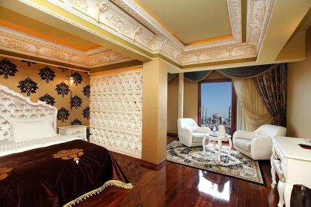 Deluxe Golden Horn Sultanahmet - 5