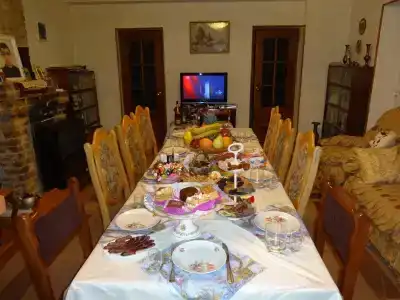 Ирис - 1