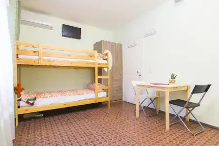 Олимп на Камышовой - 36
