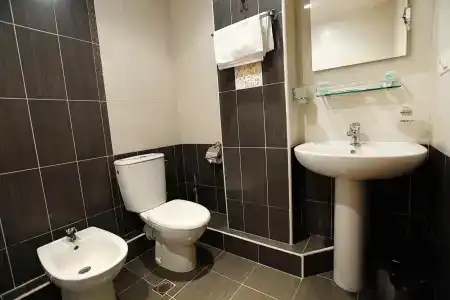 Ani Central Inn - 75