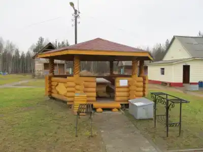 Мечка - 3