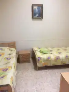 Ариэль-Д - 6