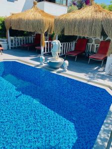 Artunc Bodrum - 19
