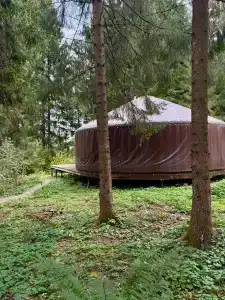 Юрта среди сосен - 7