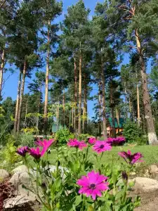 Подснежник - 50