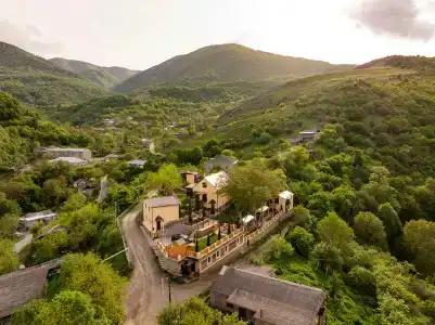 Dilivita - 18