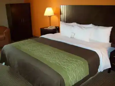 Comfort Inn 290/Nw - 49