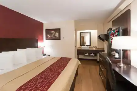 Red Roof Inn Plus+ u Of m North - 26