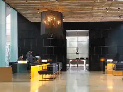 Maya - 1