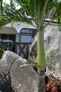 Villa Chez Batista - 120