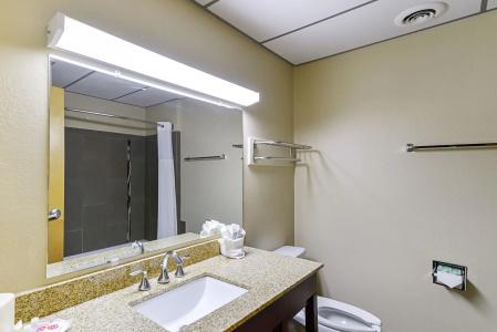 Quality Suites - 28