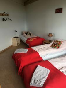 Godaland and Glamping - 27