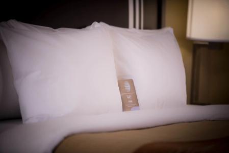 Comfort Inn Yosemite Area - 43
