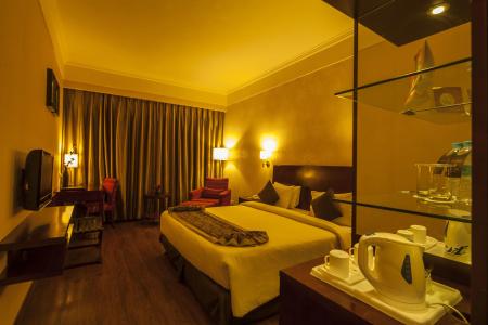 Vesta Maurya Palace - 24
