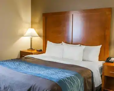 Comfort Inn South - 32