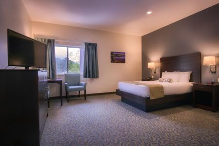 Sun & Ski Inn and Suites - 78