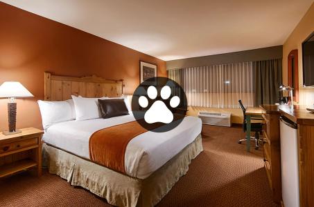 Best Western Plus Rio Grande Inn - 59