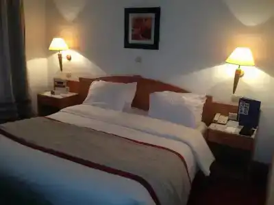 Golden Tulip El Mechtel - 96
