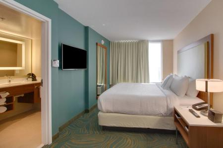 SpringHill Suites by Marriott Orlando Lake Buena Vista South - 32