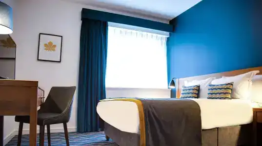 The Montenotte - 59