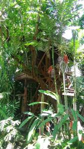 Tree Tops River Huts - 50