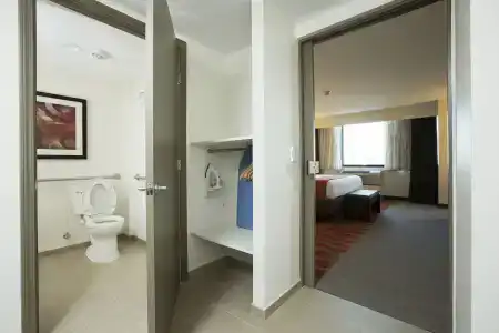 Holiday Inn Houston s - Nrg Area - Med Ctr, An Ihg - 2
