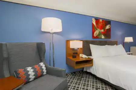 Hilton Garden Inn Dallas/Market Center - 40