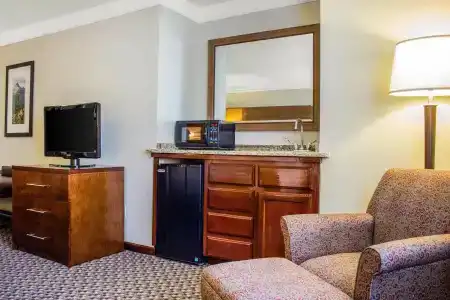 Comfort Inn & Suites - 63