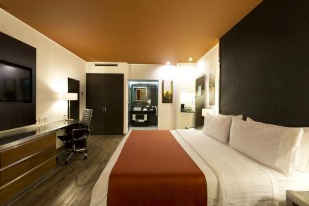 Holiday Inn Buenavista, An Ihg - 36