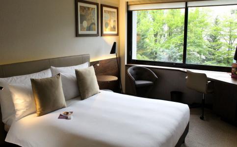Crowne Plaza Geneva, An Ihg - 37