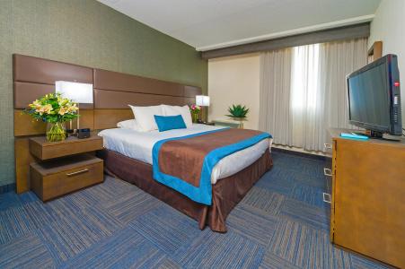 Best Western Plus Toronto Airport - 76