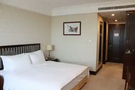 Evergreen Laurel, Shanghai - 39