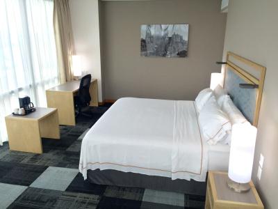 Holiday Inn Express Mexico Reforma - 3