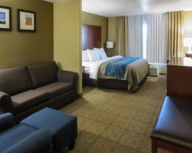 Comfort Inn Saint George North - 51